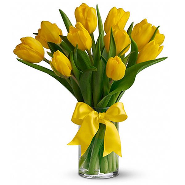 Букет из 11 желтых тюльпанов «Голландия»