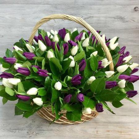 Корзина из 101 белого и фиолетового тюльпана
