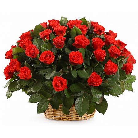 51 красная роза «Эльторо» в корзине