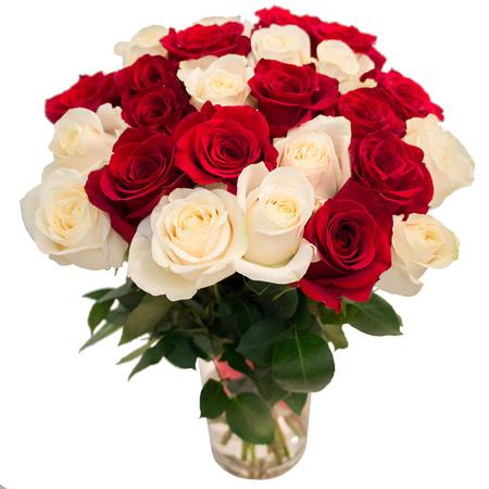 25 роз красных и белых (60 см)