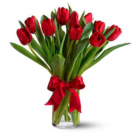 Букет из 11 красных тюльпанов «Марокко»