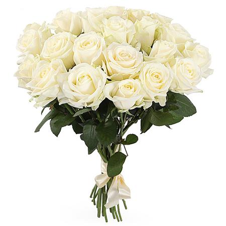 21 белая роза (50 см)